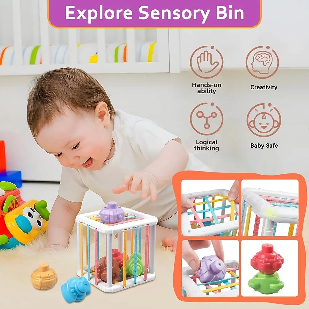 Rainbow Colorful Montessori Sh - Kid Educational ulasan dan harga