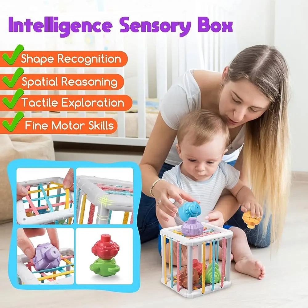 Rainbow Colorful Montessori Sh - Kid Educational ulasan dan harga